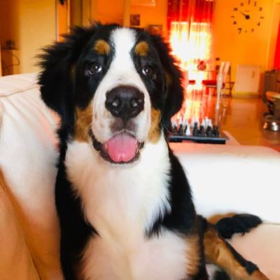 Charlie