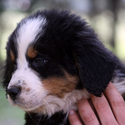 Egor