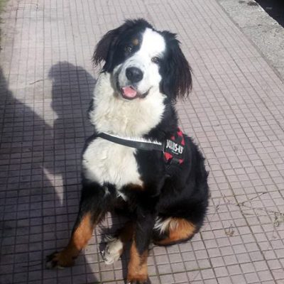 Lady