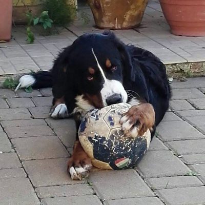 Tasha